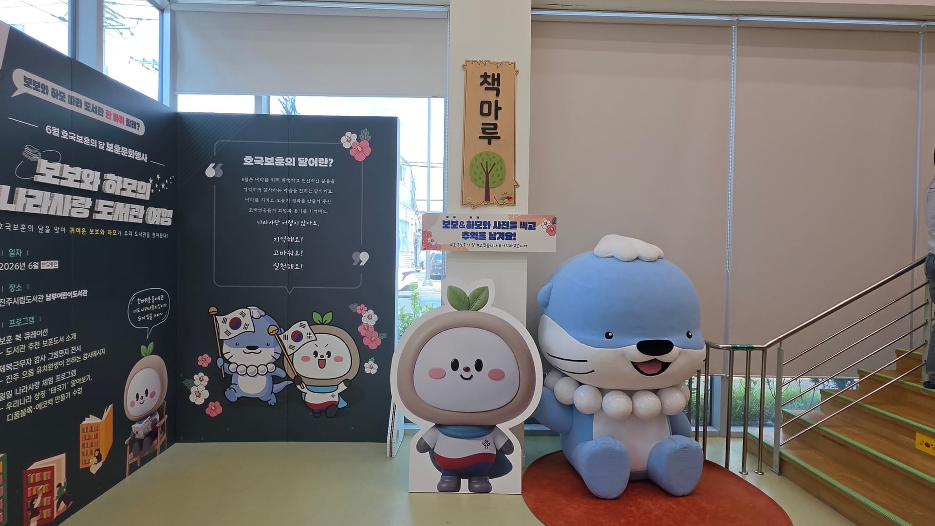 디테일 컷